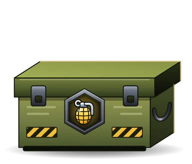 Camouflage case