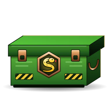 Python case