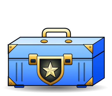 Stardust case